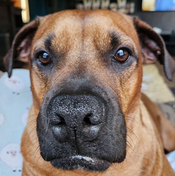 READ THIS FIRST - Picture 3 of 4